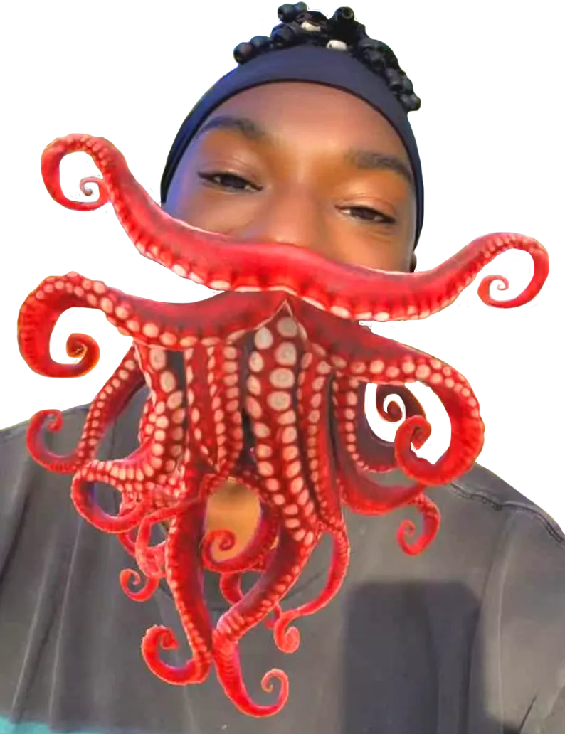 octopus