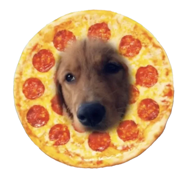 pizza-dog